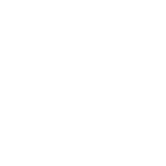 Disc